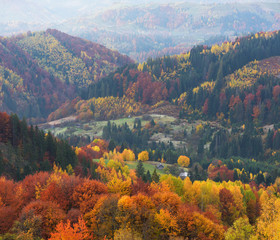 Plakaty  Autumn landscape with a beautiful forest on the slopes