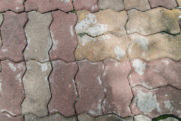 abstract black background, old black vignette border frame white