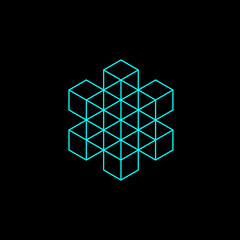 geometry minimal logo concept, vector logo template