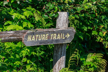 Nature Trail signage