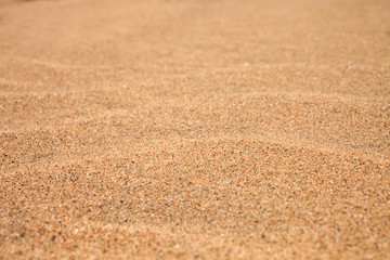 Background with sand