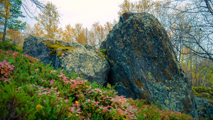 Northern nature.Large rocks covered with moss in the tundra. Nature in the Arctic circle