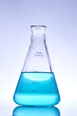 Erlenmeyer Flask