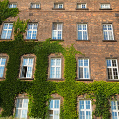 Windows of Wawel Castle in Krakow, Poland.
