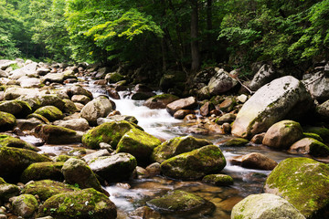 Summer river view in a remote mountainous region