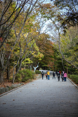 경주 불국사의 가을을 즐기는 사람들