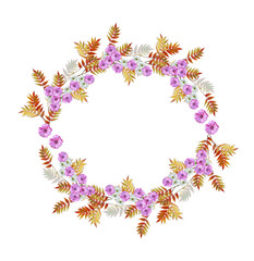 Autumn beautiful colorful morning glory flowers isolated on whit