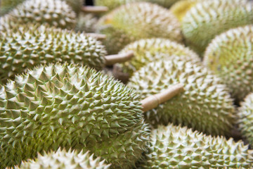 Fresh durian from the garden for sale