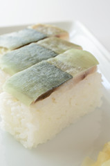 鯖の押し寿司