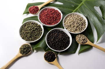 モンステラと4種類の胡椒　