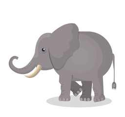 elephant india country design vector illustration eps 10