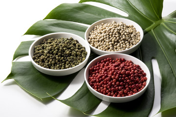 モンステラと3種類の胡椒　