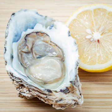 Fresh Oysters with lemon on  wooden background. Opened Oysters w