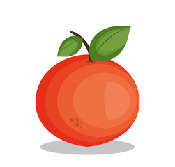 icon orange fruit design vector illustration eps 10