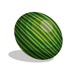 icon watermelon fruit design vector illustration eps 10