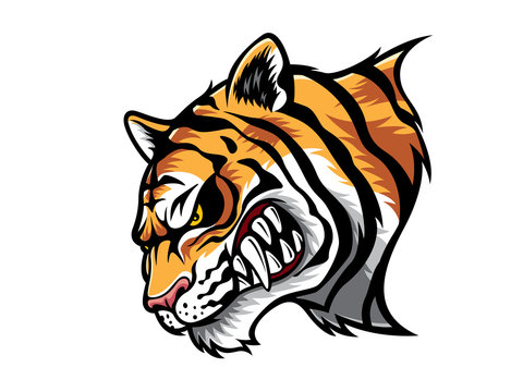 Angry Tiger Head