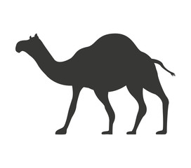 camel silhouette isolated icon vector illustration design