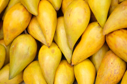  Pouteria campechiana