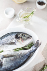Fresh dorado fish with herbs and pepper