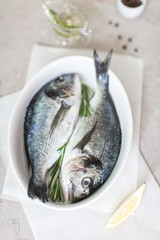 Fresh dorado fish with herbs and pepper
