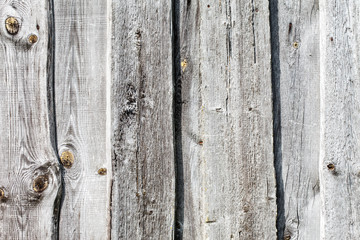 wood texture