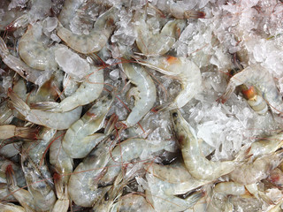 fresh shrimp on ice at the market