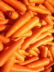 fresh carrots background