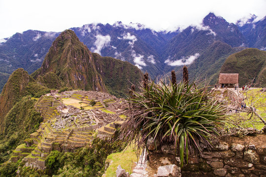 View of the city of Machu Picchu, Peru
