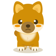 いぬっこ倶楽部 柴犬