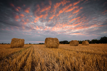 Autumn field / Landscape with a field full of hay bales at sunset © Jess_Ivanova