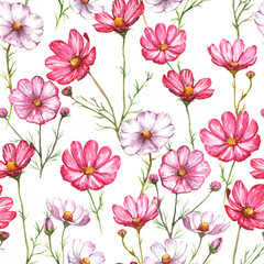 Hand-drawn watercolor seamless pattern with pink and white kosmea flowers. Colorful chamomile blossom on the repeated print for the textile, wallpapers etc. Spring background