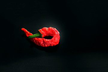 Dried red chili pepper on black background. Special light. Copy space. Please welcome to find more spice and food images in StudioDagdagaz portfolio.