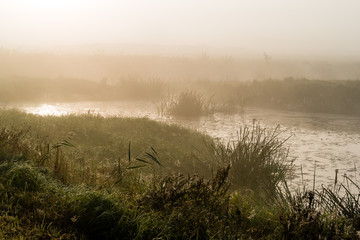 Fototapeta na wymiar Moczary i mgła