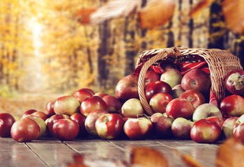 table background autumn 