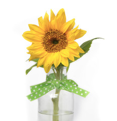 A happy sunflower for someone special. 
