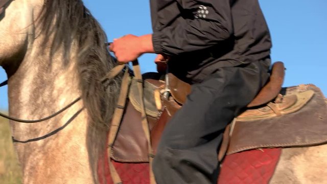 Horseman starts moving. Man pulls the reins. Off we go. Run, baby, run.