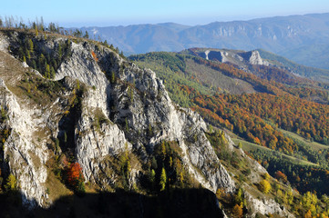 Obraz premium Autumn fall. Colorful autumn forest landscape in the mountains