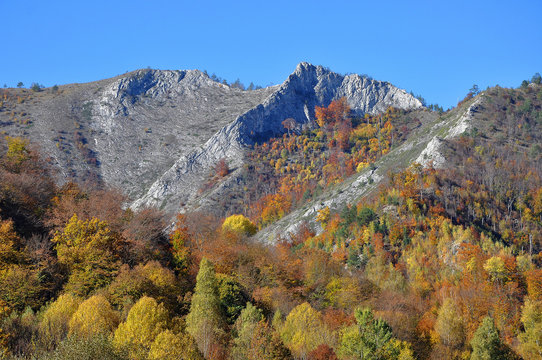 Autumn fall. Colorful autumn forest landscape in the mountains