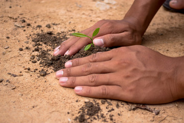 Men gardening.