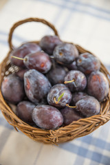 Zwetschgen, Pflaumen