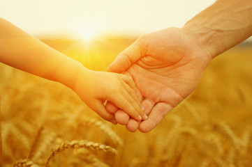 Hands of father and daughter on sun