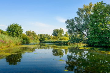 Naklejka premium Colorful landscape with trees and a natural pond in summertime