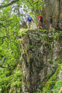 Wandergruppe begeht einen ausgesetzten Pfad entlang einer Felswand im Wald