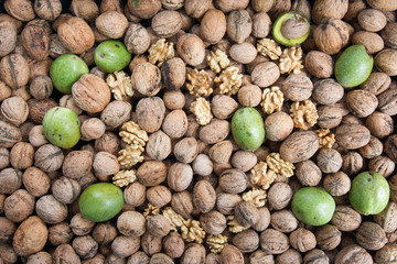 Ripe and unripe walnuts and walnut kernels