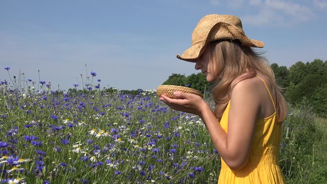 Blond girl in yellow dress gather cornflower flower herbs blooms. 4K