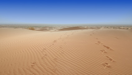 Pegadas no deserto