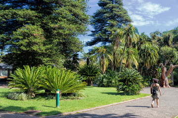Obraz premium Kapstadt, Stadtpark