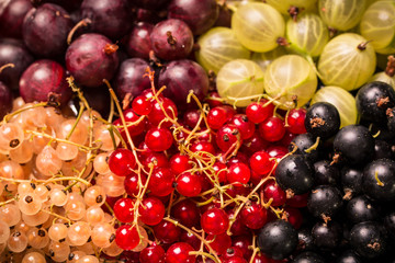 Fresh summer berries , wooden background, healthy food.