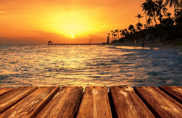 Caribbean sea beach sunset with palm trees.
