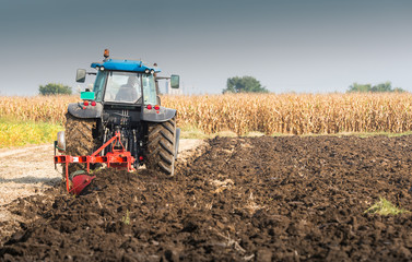 Fototapeta premium Tractor working in the field